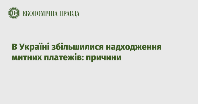 Зростання митних надходжень в Україні: основні фактори