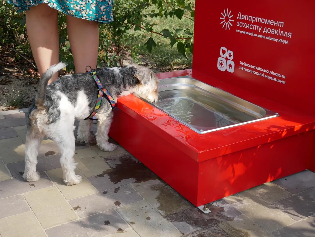 Від спеки на допомогу: у київських парках і скверах встановили водопої для тварин | УНН