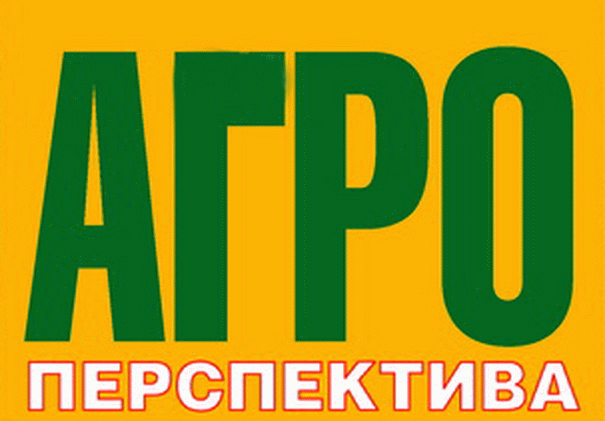 Україна сподівається на отримання траншу в розмірі 1,1 мільярда доларів від Міжнародного валютного фонду найближчим часом, заявив Шмигаль.