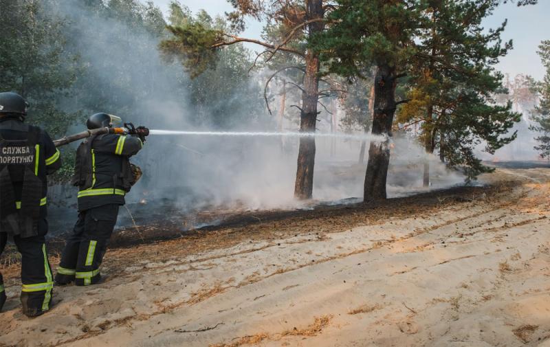 Гасіння вогню в Київській області стикається з труднощами, проте повітря залишається чистим, повідомляє ДСНС.