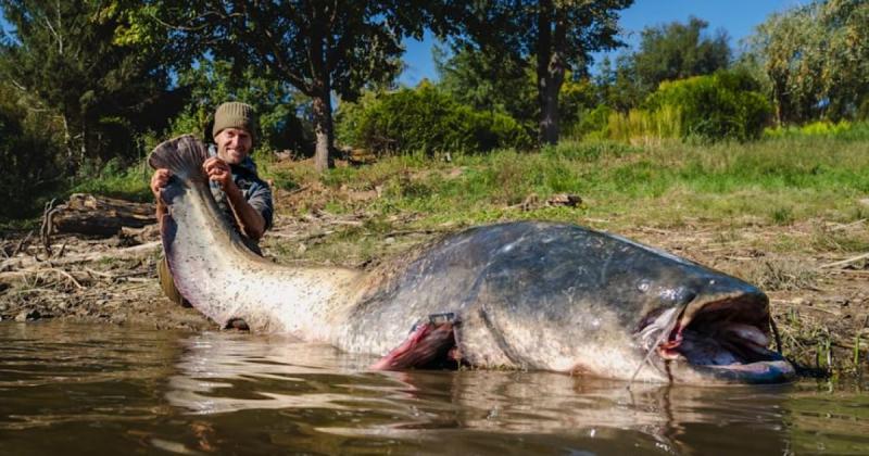 Підводний велетень: чоловік впіймав гігантського сома, якого ще ніхто не бачив (фото)