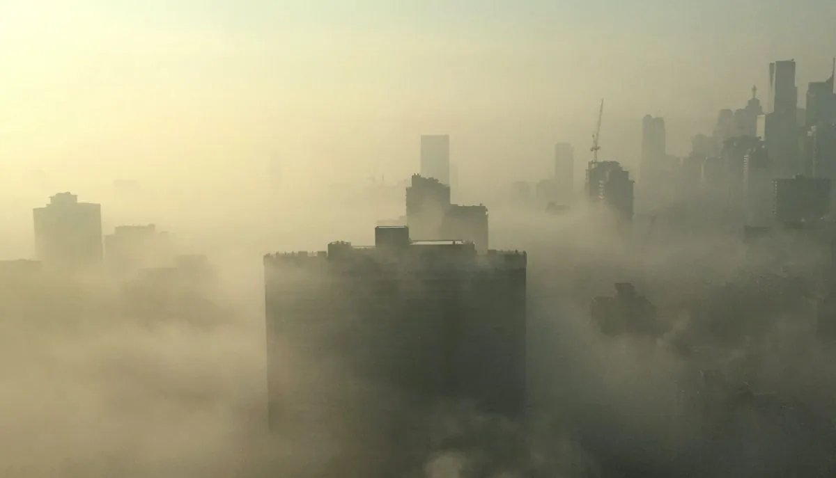 Нещодавно зафіксовано новий максимум вмісту CO₂ в атмосфері напередодні конференції Cop29 | УНН